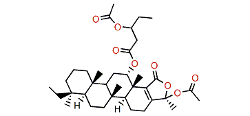 Phyllactone C